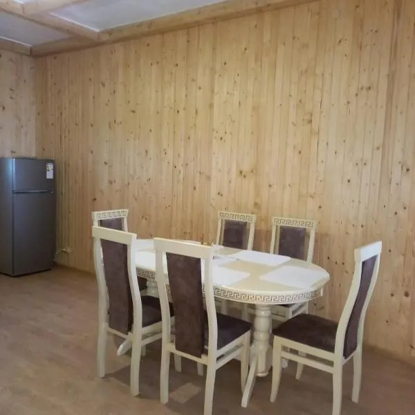 У бабусі, hotel v destinaci Bursuchna