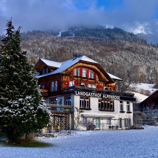 Hotel Alpenrose beim Ballenberg，位于布里恩茨的酒店