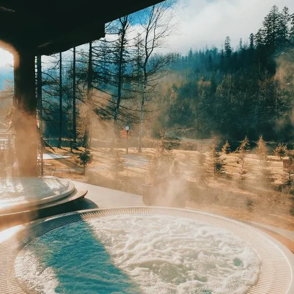 Aries Hotel & SPA Wisła, hotel in Wisła