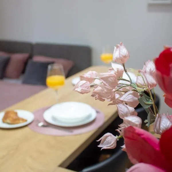 Danube Paradise, hotel in Vukovar