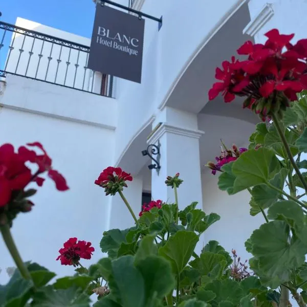 Blanc Hotel Boutique, hotel in Salta