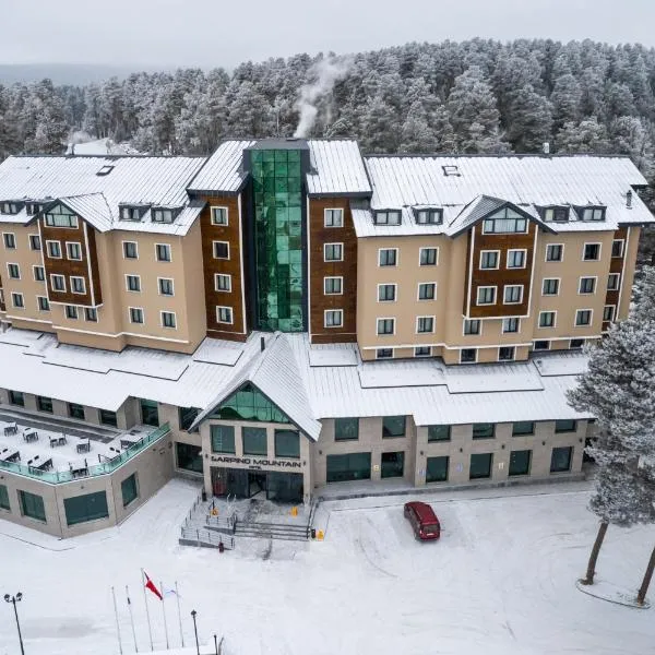SARPİNO MOUNTAİN HOTEL, hotel em Sarıkamıs