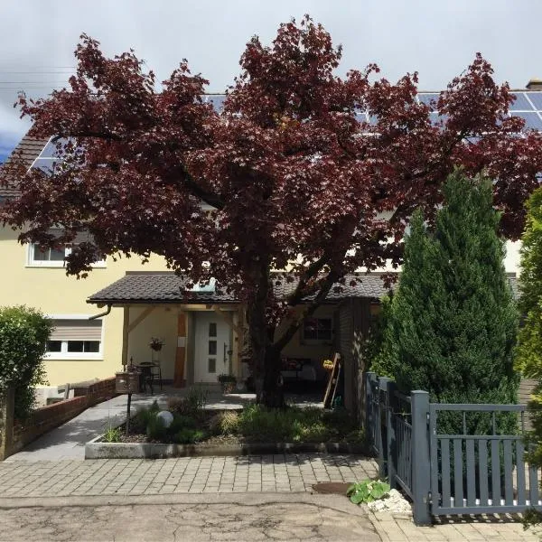 Apartmentvermietung Ingrid Bolkart - Vöhlino 2, hôtel à Illertissen