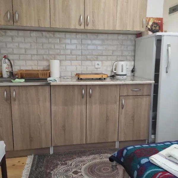 Apartment Mountain Dream, hotel en Žabljak