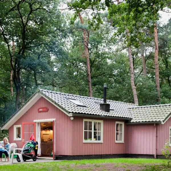 Chalets De Roos, hotel in Beerze