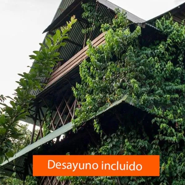 Paraíso Ayahuasca Hotel & Tours, hotel in Puerto Nariño
