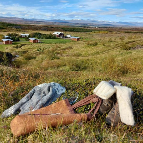 Ásgeirsstaðir Holiday Homes