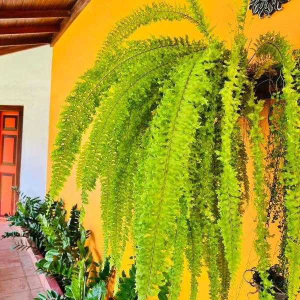 Breeze of Paradise, hotel in Colombo