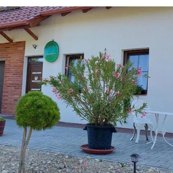 Patak Vendégház, hotel in Zalaegerszeg