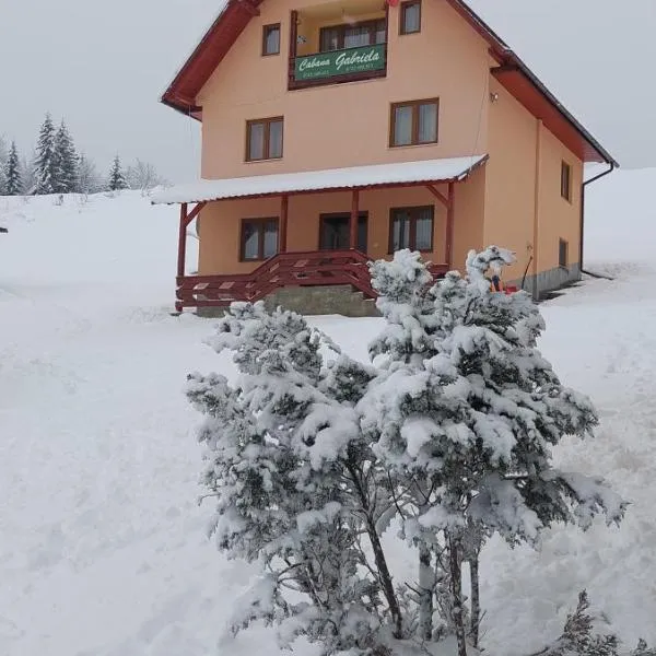 Cabana Gabriela, hotel in Gîrda de Sus