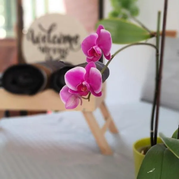 Moradia Laureles Medellin, hotel en Medellín