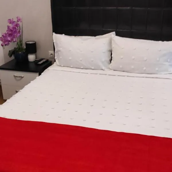 Pensiunea Izabel、ラク・ロシュのホテル