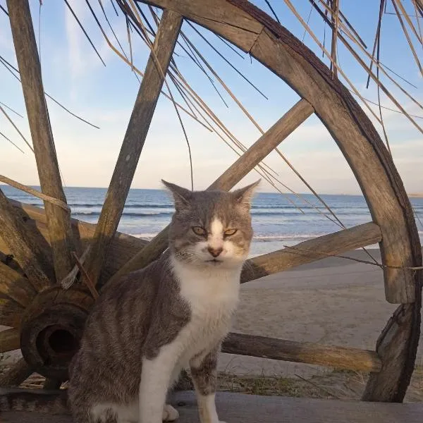 Para un poquito oasis, hotel in Barra de Valizas