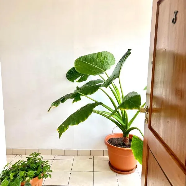 Urbano, Hotel in Tarija