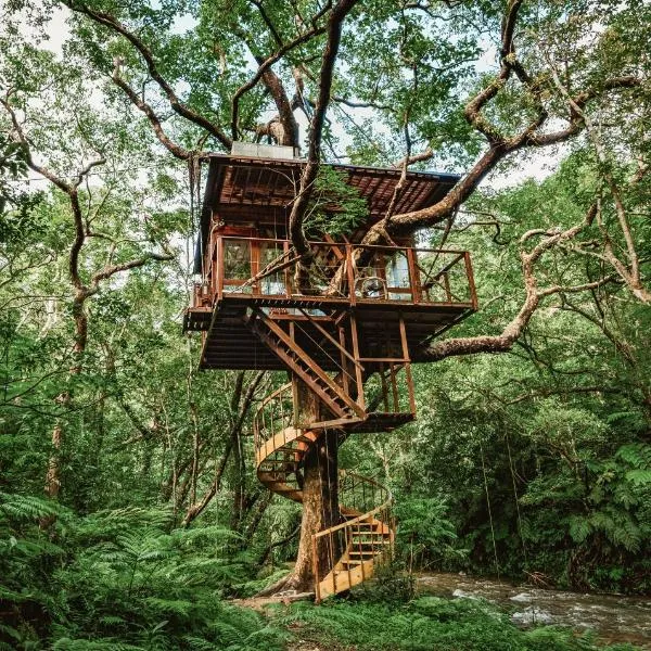 Treeful Treehouse Sustainable Resort, hôtel à Nago