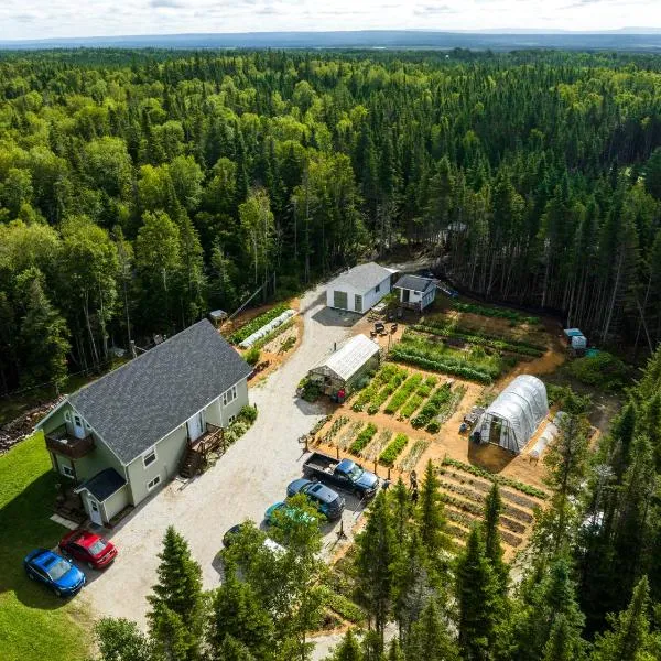 Upper Humber Settlement a FarmStay B&B, hotel a Cormack