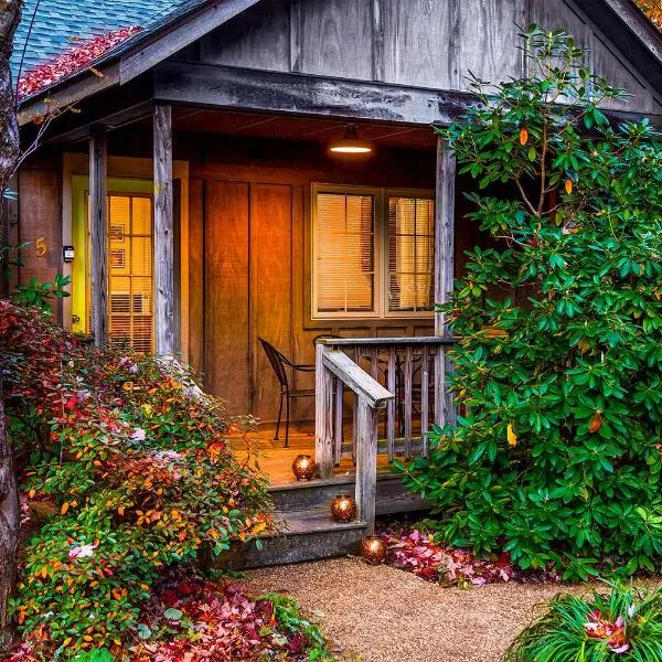 Love Ridge Mountain Lodging, hotel a Lyndhurst