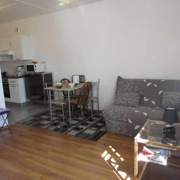 Charmant T2 de 50m² à Étel, à deux pas du port et des plages - FR-1-479-89