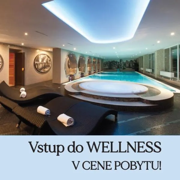 Wellness Hotel Vinnay, hotel ve Vinném