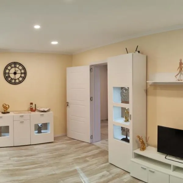 Timisoara Central, hotel v destinaci Temešvár