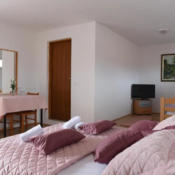 Prenoćište Džinić, hotel v destinácii Županja