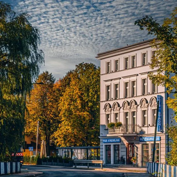 Hotel Stronie, ξενοδοχείο σε Stronie Śląskie