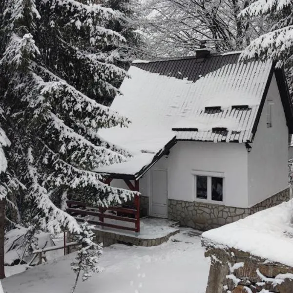 Sova Kopaonik, Hotel in Kopaonik