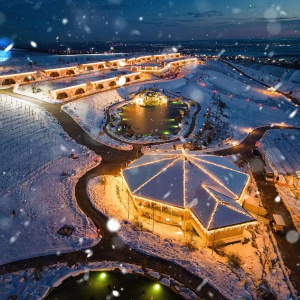 Casa Timiș - Wellness & Spa Resort, ξενοδοχείο σε Chiţorani