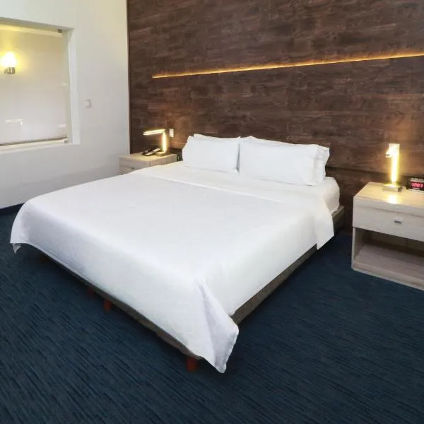 Holiday Inn Express San Luis Potosí by IHG, hotel in San Luis Potosí