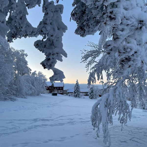 Gemütliche Ferienwohnung Harz Braunlage Hohegeiß