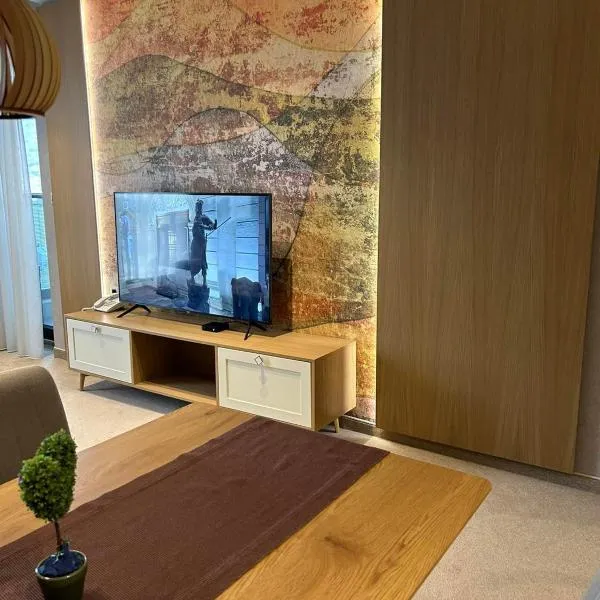 City Park Inn Apartment Verona, Hotel in Plowdiw