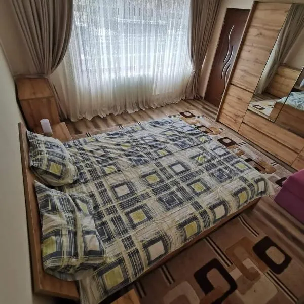 Katarina Central House Predeal、プレデアルのホテル