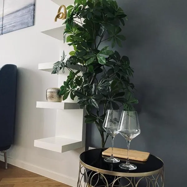 Wileńska Home apartment 1, hotel in Warsaw