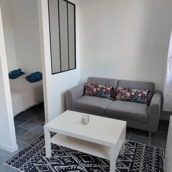 Charmant appartement hyper centre métro gare, ξενοδοχείο στην Τουλούζη