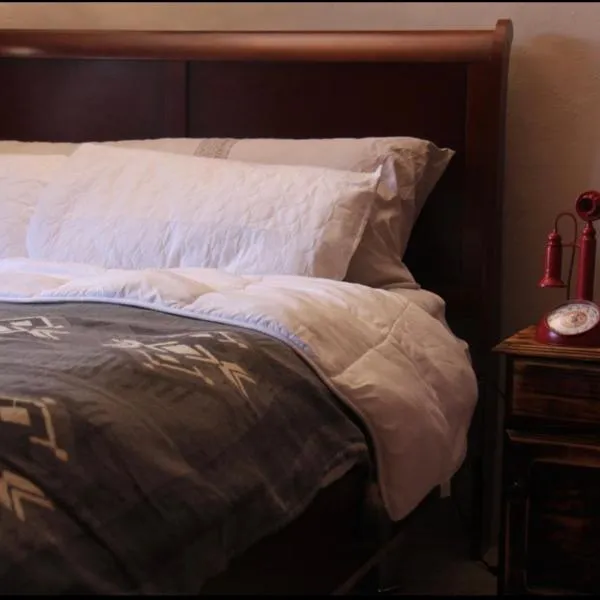 Casa Mia Volcan，位于博尔坎的酒店