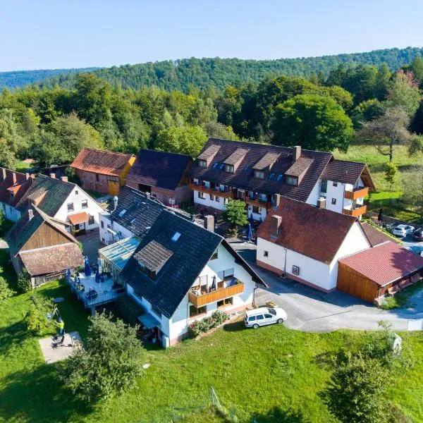 Hotel Landgasthof Oberschnorrhof, hotel v destinaci Dammbach
