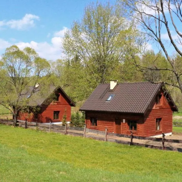 Chaty Rysia i Misia - całoroczne domy na wynajem, hotel en Wetlina