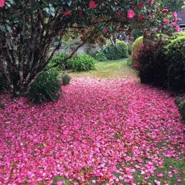 English Gardens - Garden Retreat, Hotel in Springbrook