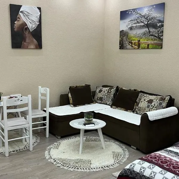 Apartment Downtown, Hotel in Podgorica