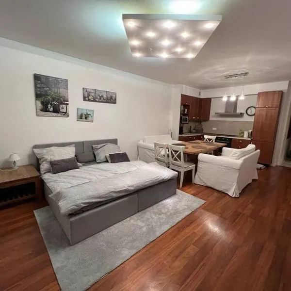 Beautiful ground floor apartment in Warsaw, hotel in Warsaw