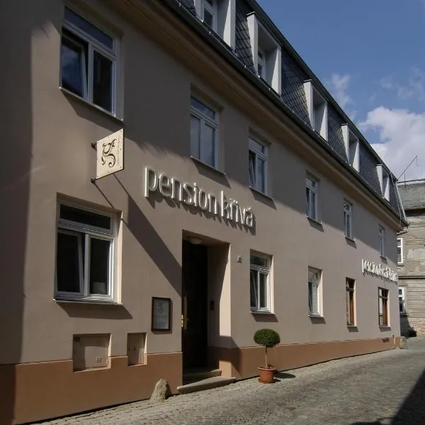 Pension Křivá, hotel en Olomouc