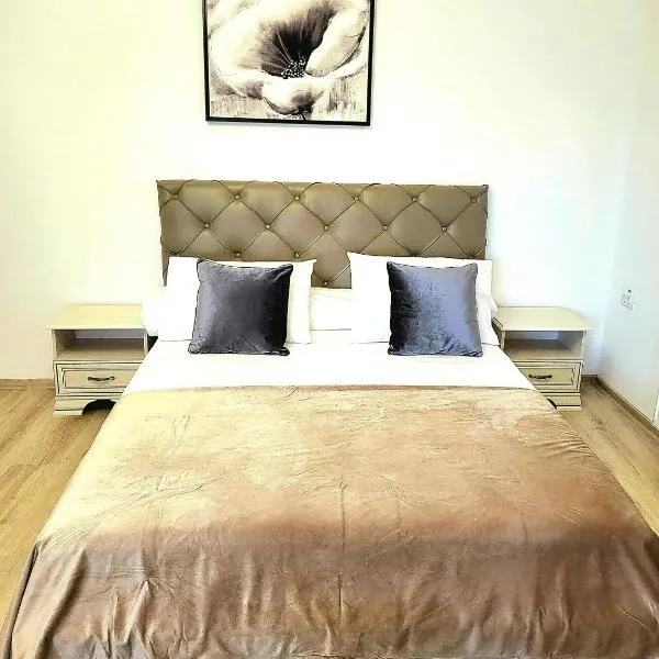 Cabana Stejarul、ボトシャニのホテル