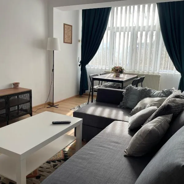 Apartament Cina, hotel in Huşi