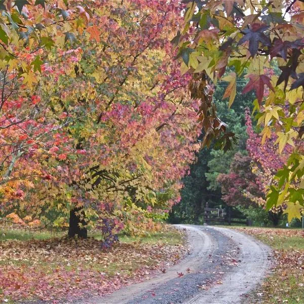 Rustic Spirit, hotell sihtkohas Bilpin
