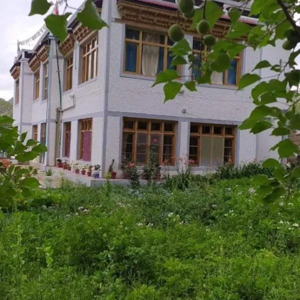 Nakpo Homestay, hotel in Leh
