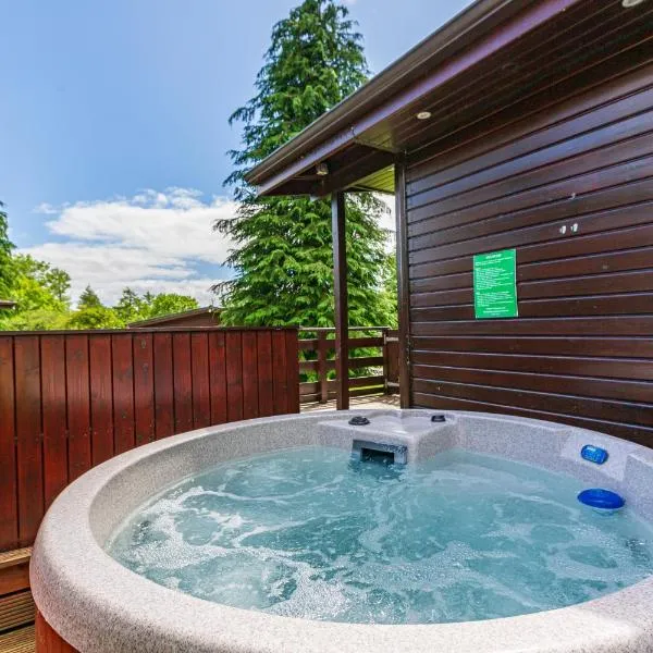 Bluebell Lodge 11 with Hot Tub, hotel in Newton Stewart