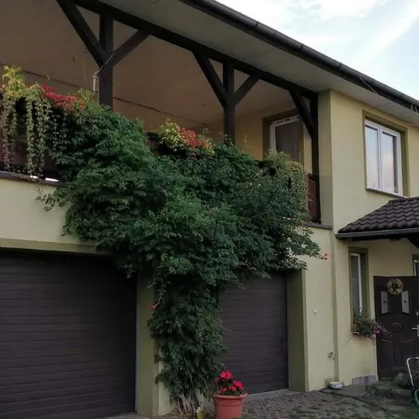 Dżolanda Pokoje, Hotel in Milsko