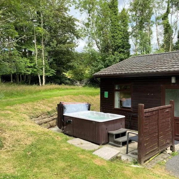 Birch Lodge 18 with Hot Tub, ξενοδοχείο σε Newton Stewart