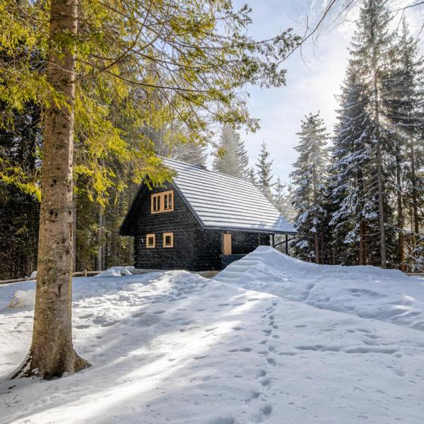 Cosy Lodge Pokljuka