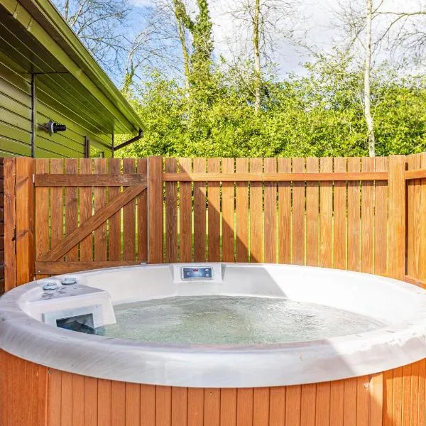 Birch Lodge 20 with Hot Tub, hotell sihtkohas Newton Stewart